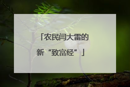 农民闫大雷的新“致富经”